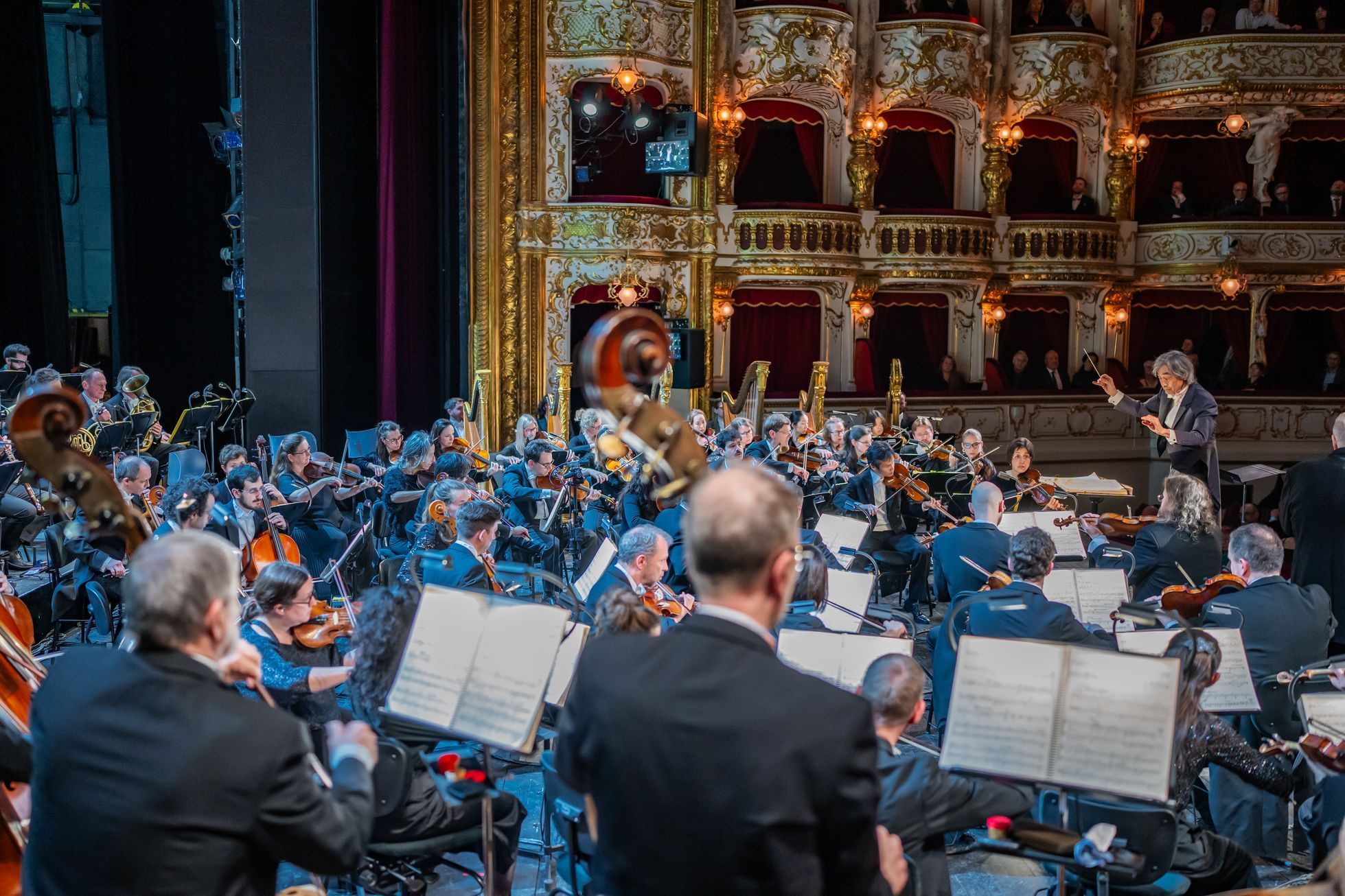 Richard Wagner, Siegfried, opera, Státní opera, Praha, Kent Nagano, premiéra