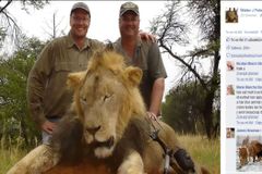 Zimbabwe žádá o vydání Američana, který zastřelil lva Cecila