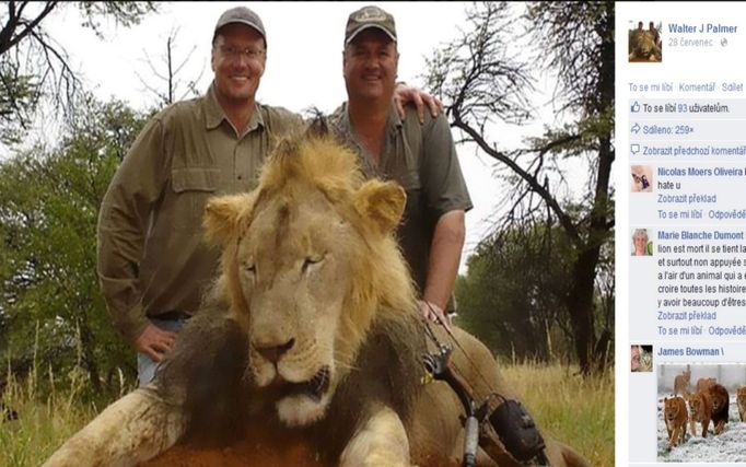 Walter Palmer zřejmě nelovil lva poprvé. Alespoň podle fotografie, co se začala šířit internetem.