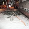 Sníh - 19. března - strom