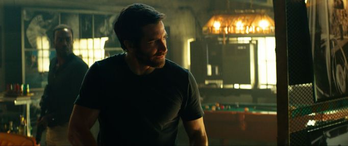 Jake Gyllenhaal jako Danny.