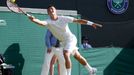 Wimbledon - Tomáš Berdych vs. Bernard Tomic