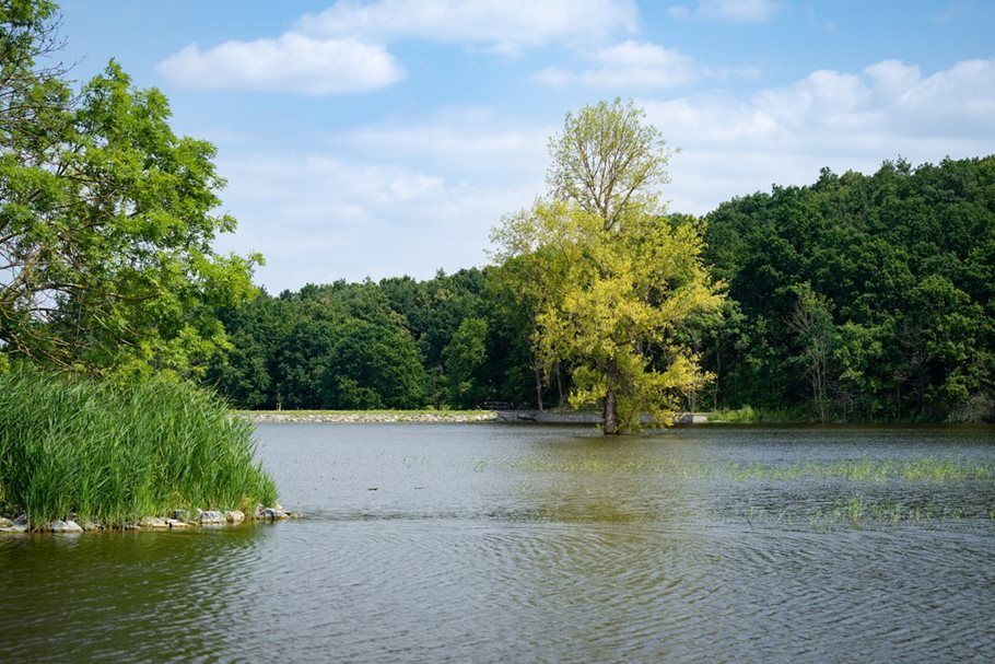 Lítožnice, parky