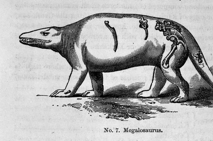 Dobová kresba z roku 1854, která ukazuje odhad podoby teropoda Megalosauruse, jehož nejstarší zkamenělá část se našla už v roce 1677 v Anglii.
