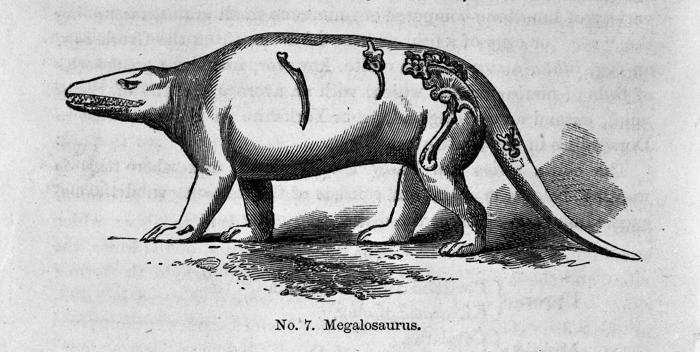 Dinosaurus,  Paleontologie, historie, Magazín