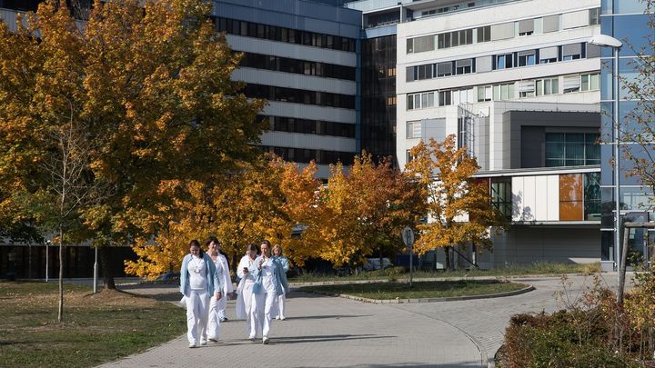 V Motole se narodilo první dítě z transplantované dělohy v Česku