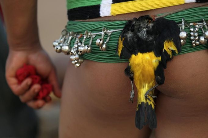 A Yawalapiti man wears a dead bird on his waist as a symbol of his prowess as a wrestler during the celebration of this year's 'quarup,' a ritual held over several days to honour in death a person of great importance to them, in the Xingu National Park, Mato Grosso State, August 15, 2012. This year the Yawalapiti tribe honoured two people - a Yawalapiti Indian who they consider a great leader, and Darcy Ribeiro, a well-known author, anthropologist and politician known for focusing on the relationship between native peoples and education in Brazil. Picture taken August 15, 2012. REUTERS/Ueslei Marcelino (BRAZIL - Tags: SOCIETY ENVIRONMENT ANIMALS) FOR EDITORIAL USE ONLY. NOT FOR SALE FOR MARKETING OR ADVERTISING CAMPAIGNS. ATTENTION EDITORS - PICTURE 16 OF 37 FOR THE PACKAGE 'THE YAWALAPITI QUARUP RITUAL' Published: Srp. 29, 2012, 10:21 dop.