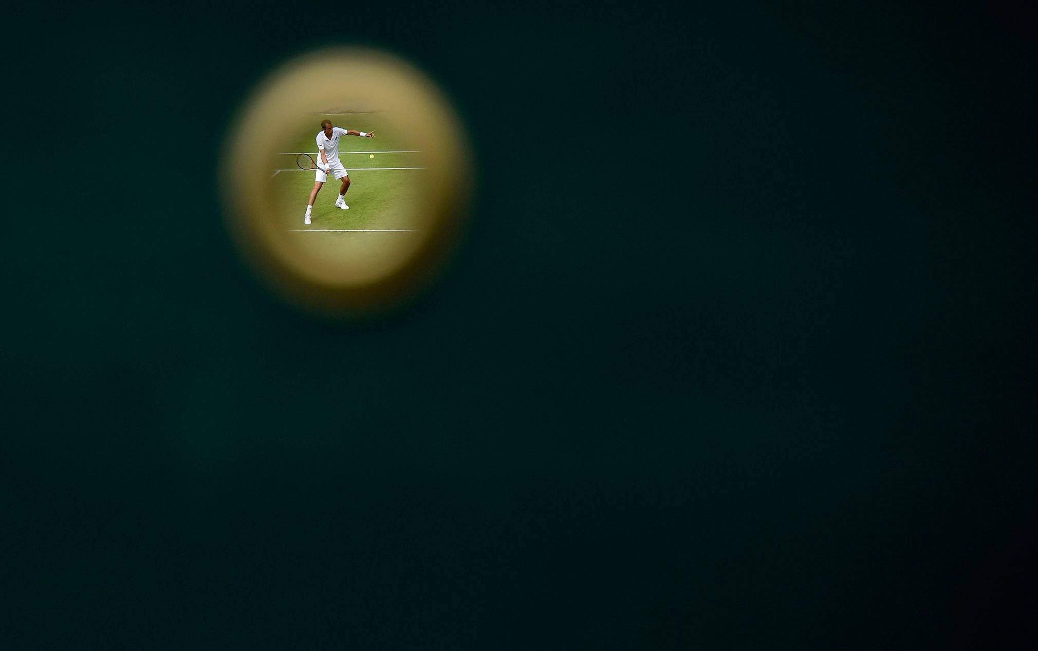 Wimbledon 2015: Lukáš Rosol
