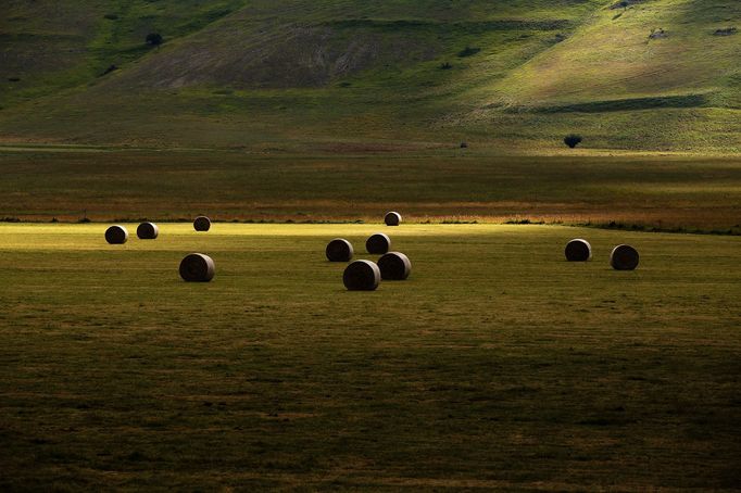 Rozkvetlé louky v okolí Castelluccia di Norcia, Itálie