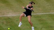 Karolína Muchová na turnaji v londýnském Queen's Clubu