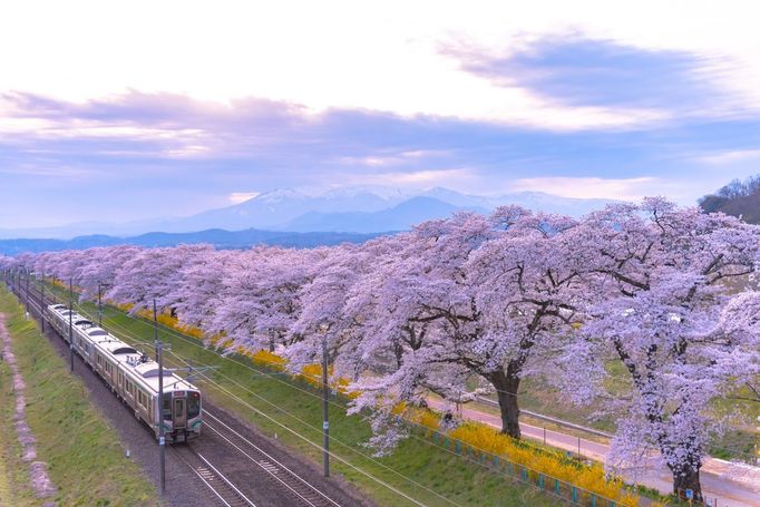 Tohoku, Japonsko