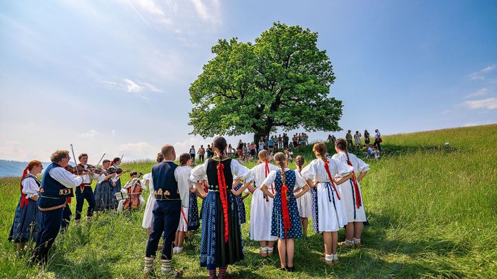 Dubisko valašisko, šmigula, zpívající lípa. Kdo zvítězí v anketě Strom roku?; Zdroj foto: Nadace Partnerství / Lucie Mojžíšová