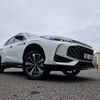 MG HS test