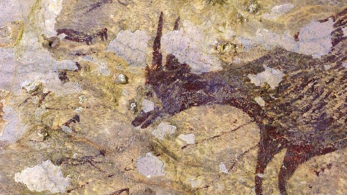 Až 44 tisíc let stará malba na indonéském ostrově Sulawesi.