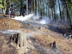 V sobotu 21. dubna odpoledne likvidovaly čtyři jednotky hasičů požár lesního porostu po těžbě a pálení klestí u obce Kunčina Ves. Jednalo se o požár lesní hrabanky na ploše 70 x 70 metrů. Na likvidaci bylo nasazeno sedm vodních proudů. Požár se hasičům podařilo uhasit za dvě hodiny.