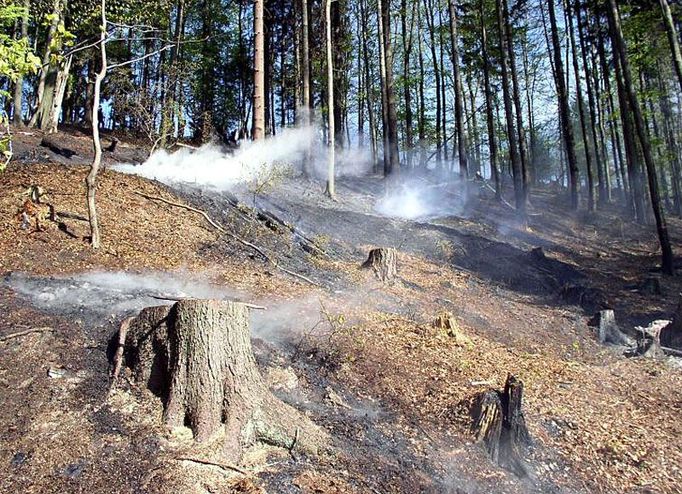 V sobotu 21. dubna odpoledne likvidovaly čtyři jednotky hasičů požár lesního porostu po těžbě a pálení klestí u obce Kunčina Ves. Jednalo se o požár lesní hrabanky na ploše 70 x 70 metrů. Na likvidaci bylo nasazeno sedm vodních proudů. Požár se hasičům podařilo uhasit za dvě hodiny.