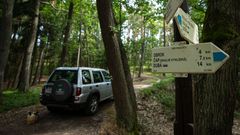 Kokořínsko, Rovenské skály, trampové, tramping, CHKO, příroda, les, planeta, strom, životní prostředí