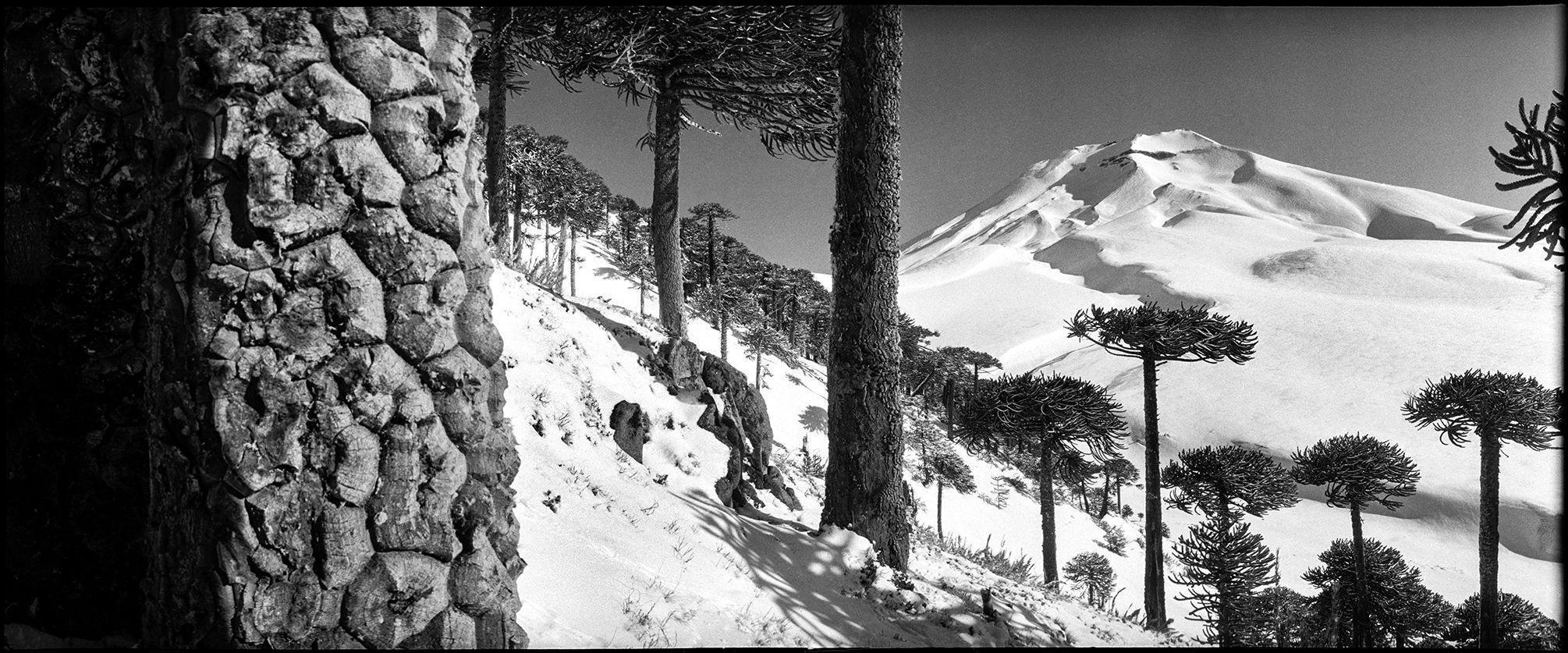 Michal Brouček: Pachamama. Ukázky z fotografické knihy, která přináší snímky z cest po Jižní Americe