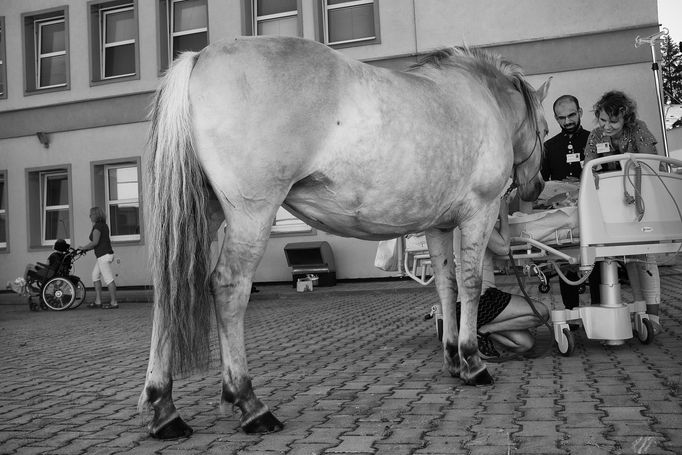 Michael Hanke: Naděje (snímky ze souboru, který vznikl na oddělení dlouhodobé a intenzivní ošetřovatelské péče pro děti v nemocnici v Hořovicích).