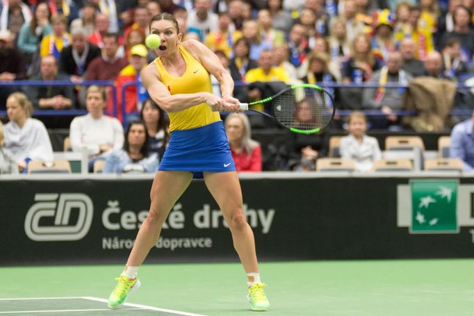 Halepová vs. Siniaková, Fed Cup, Česko - Rumunsko