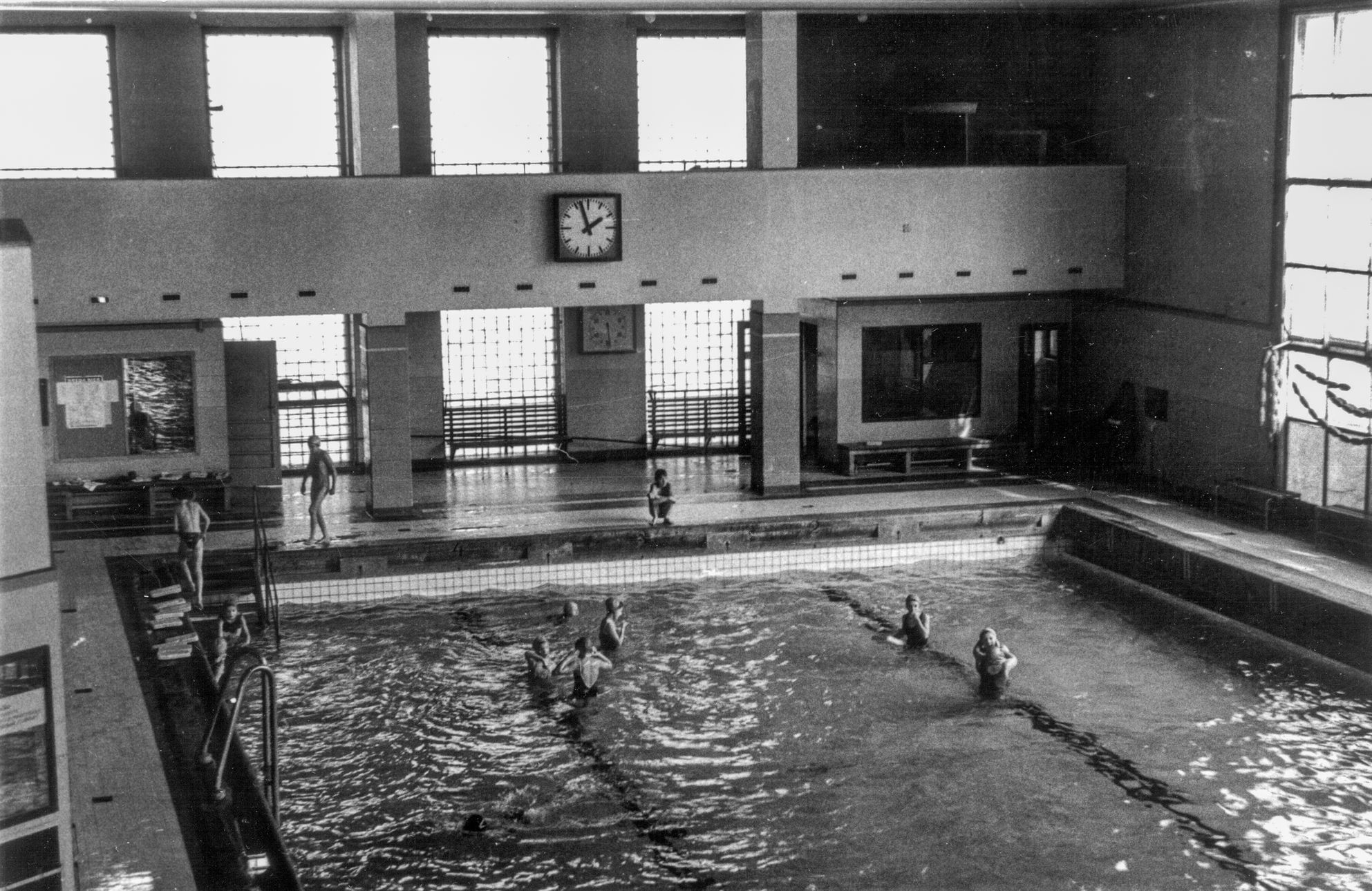 Mozkožrout, PAME, bakterie, epidemie, Ústí nad Labem, Domácí