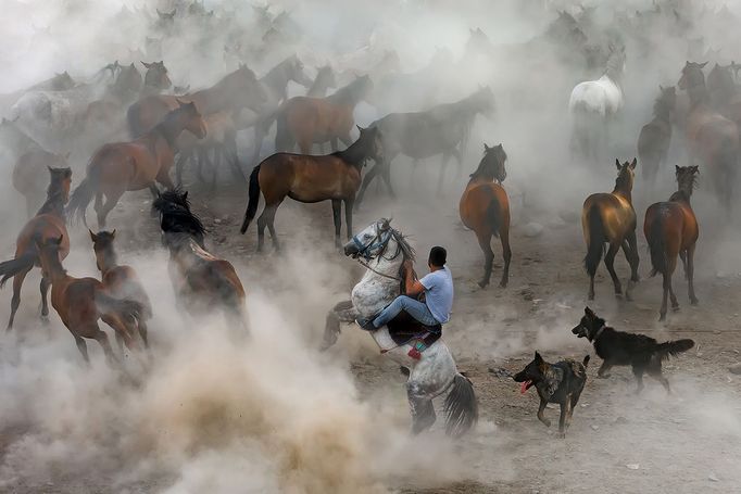 Sony World Photography Awards 2018 - první příspěvky