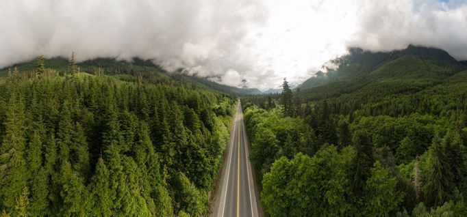 Snímek z ostrova Vancouver Island.