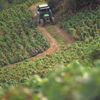 Beaujolais - nepoužívat, jednorázové svolení vlastníka