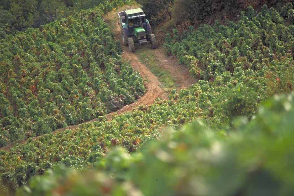 Beaujolais - nepoužívat, jednorázové svolení vlastníka