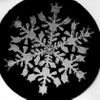 Sněhové vločky, jak je vyfotografoval Wilson "Snowflake" Bentley