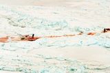 Masakr tuleňů v Kanadě pokračuje i letos