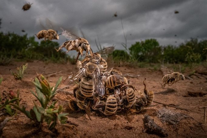 Siena International Photo Awards 2024