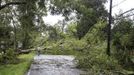 A number of fallen trees take out some power lines while blocking off Highway 628 in the aftermath of Hurricane Isaac in LaPlace, Louisiana August 30, 2012. Isaac, downgraded to a tropical storm, was drenching southeastern Louisiana and Mississippi with heavy rainfall while a significant storm surge continued, the U.S National Hurricane Center said. REUTERS/Peter Forest (UNITED STATES - Tags: ENVIRONMENT) Published: Srp. 30, 2012, 7:55 odp.