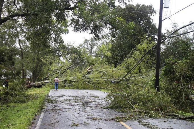 A number of fallen trees take out some power lines while blocking off Highway 628 in the aftermath of Hurricane Isaac in LaPlace, Louisiana August 30, 2012. Isaac, downgraded to a tropical storm, was drenching southeastern Louisiana and Mississippi with heavy rainfall while a significant storm surge continued, the U.S National Hurricane Center said. REUTERS/Peter Forest (UNITED STATES - Tags: ENVIRONMENT) Published: Srp. 30, 2012, 7:55 odp.