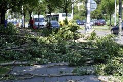 Hradecké lesy zvýšily o dvě třetiny odhad škod po bouři