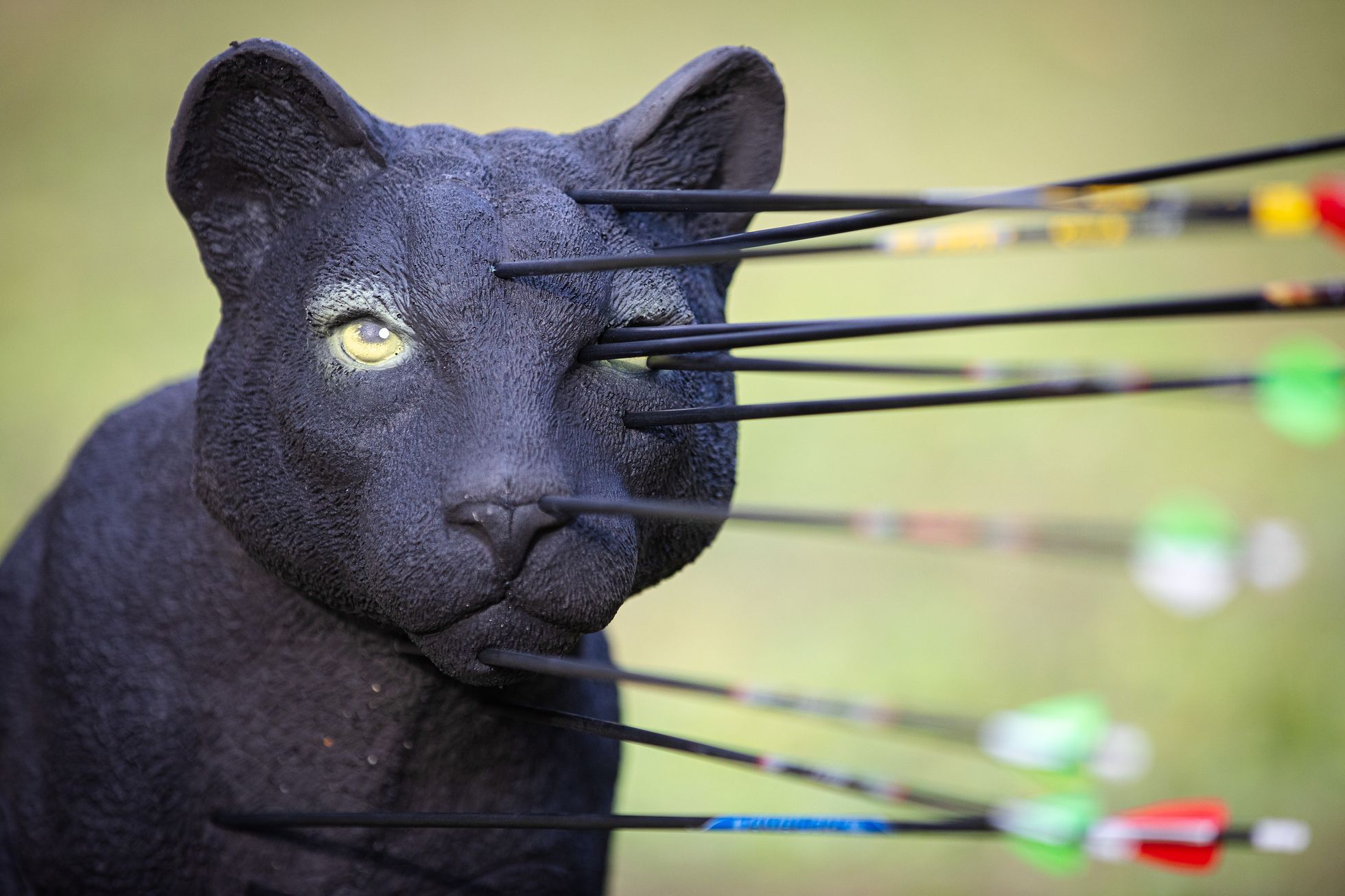 Lukostřelnice Litohlavy, lukostřelba