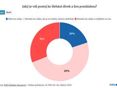 Šlehání pomlázkou nemá rádo 80 procent žen, ukázal průzkum.