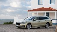 Škoda Superb je jednou z novinek mladoboleslavské automobilky pro první polovinu letošního roku.