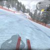 Alpine Ski Racing 2007