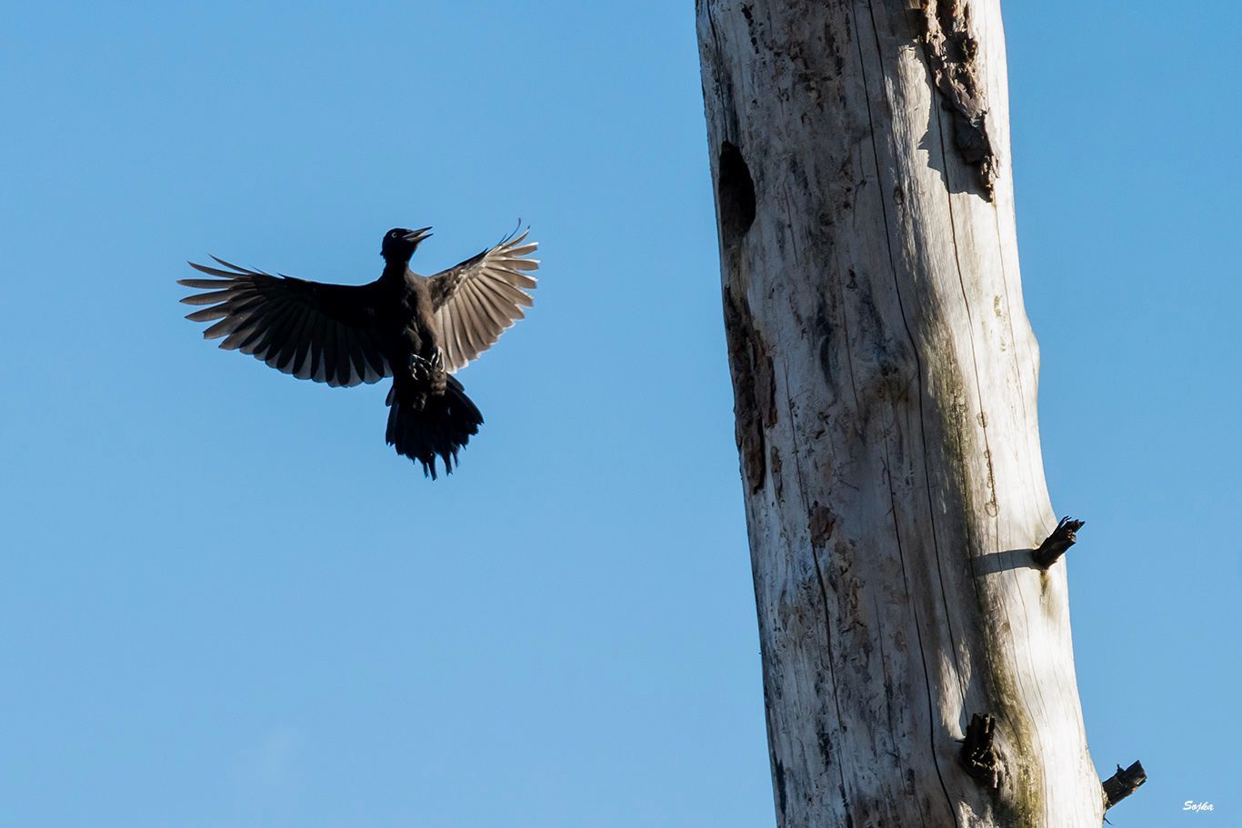 NP České Švýcarsko