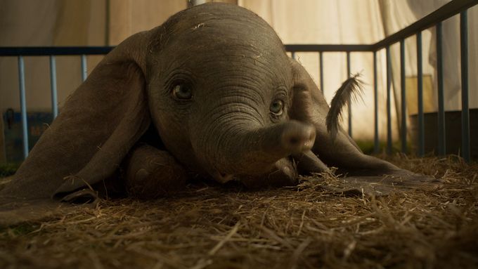 Dumbo vypráví o novorozeném slůněti s nadměrně velkýma ušima.