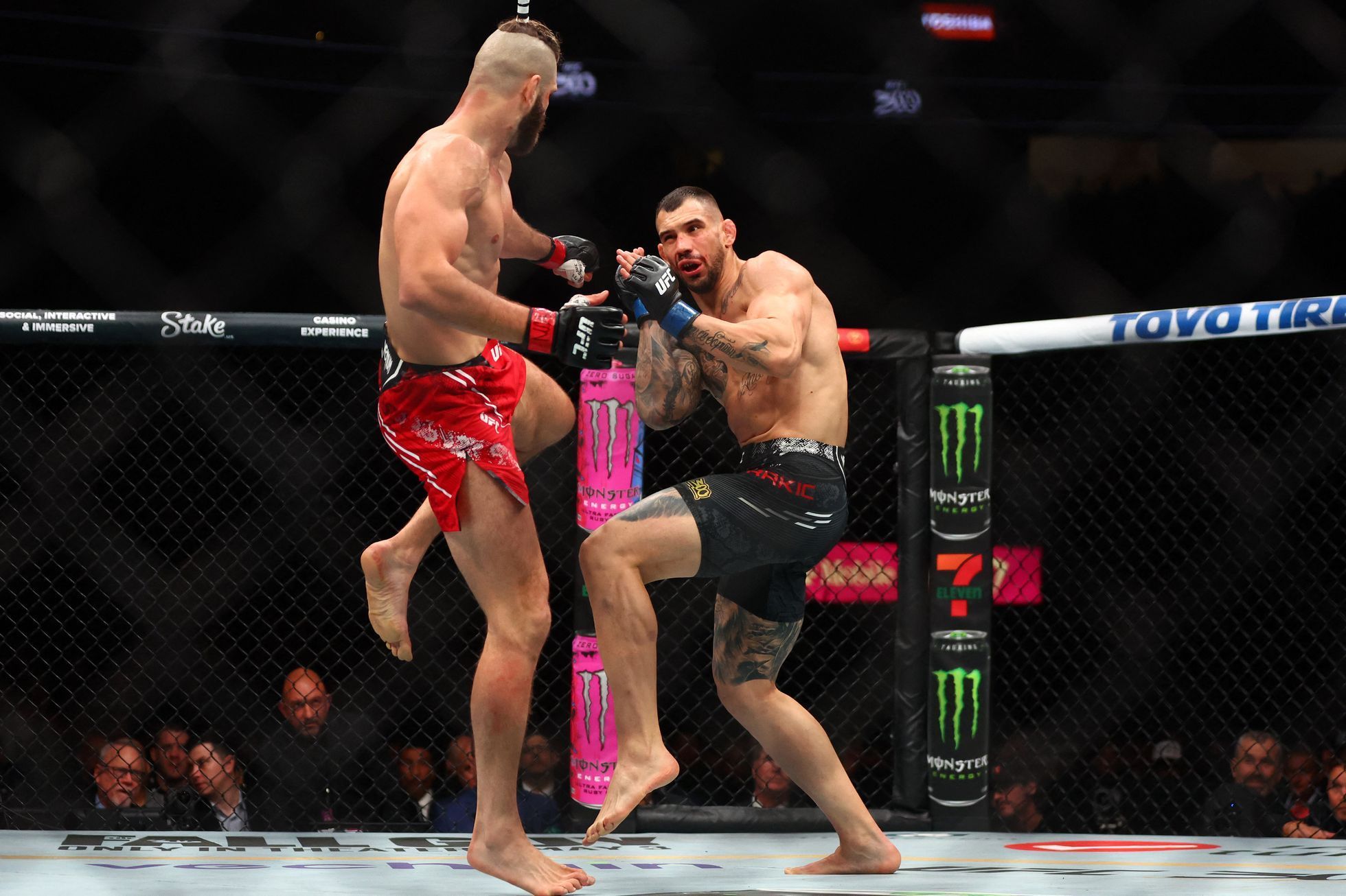 Jiří Procházka při souboji s Aleksandarem Rakičem v rámci UFC 300