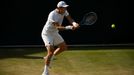 Wimbledon 2017: Tomáš Berdych