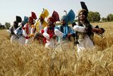 Mladíci tančí Bhangru, tradiční pandžábský tanec, aby oslavili svátek Baisakhi, který v indickém Pandžábu jednak značí začátek Nového roku, jednak jde o festival oslavující žně