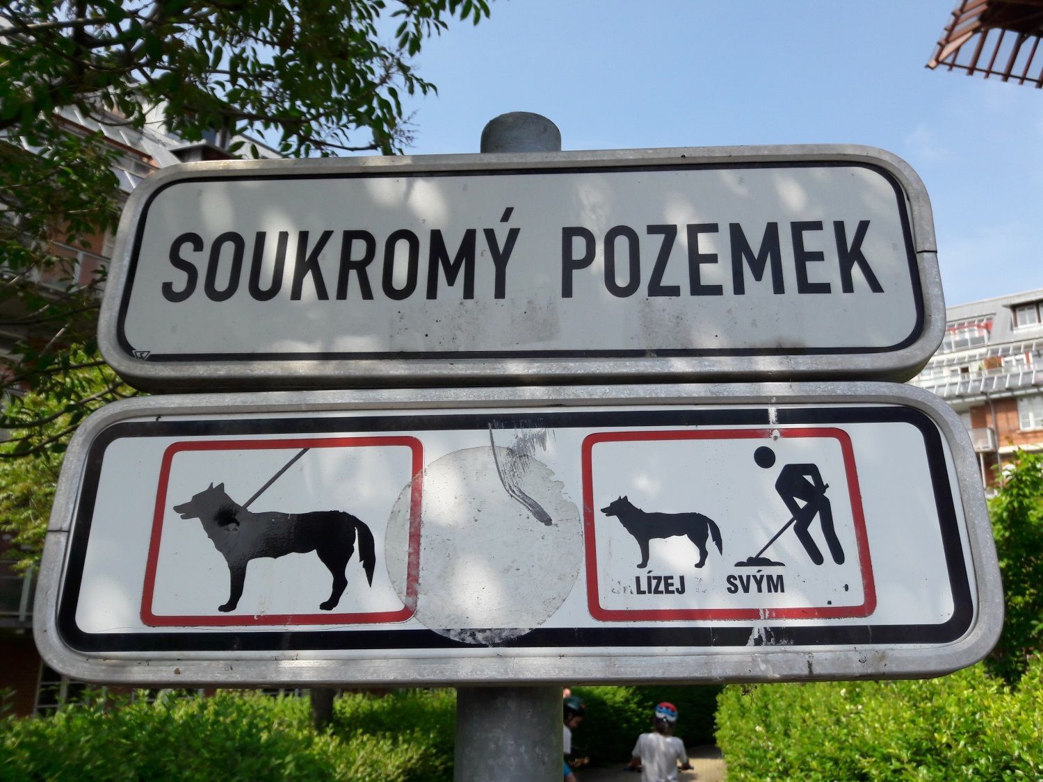 Cedule