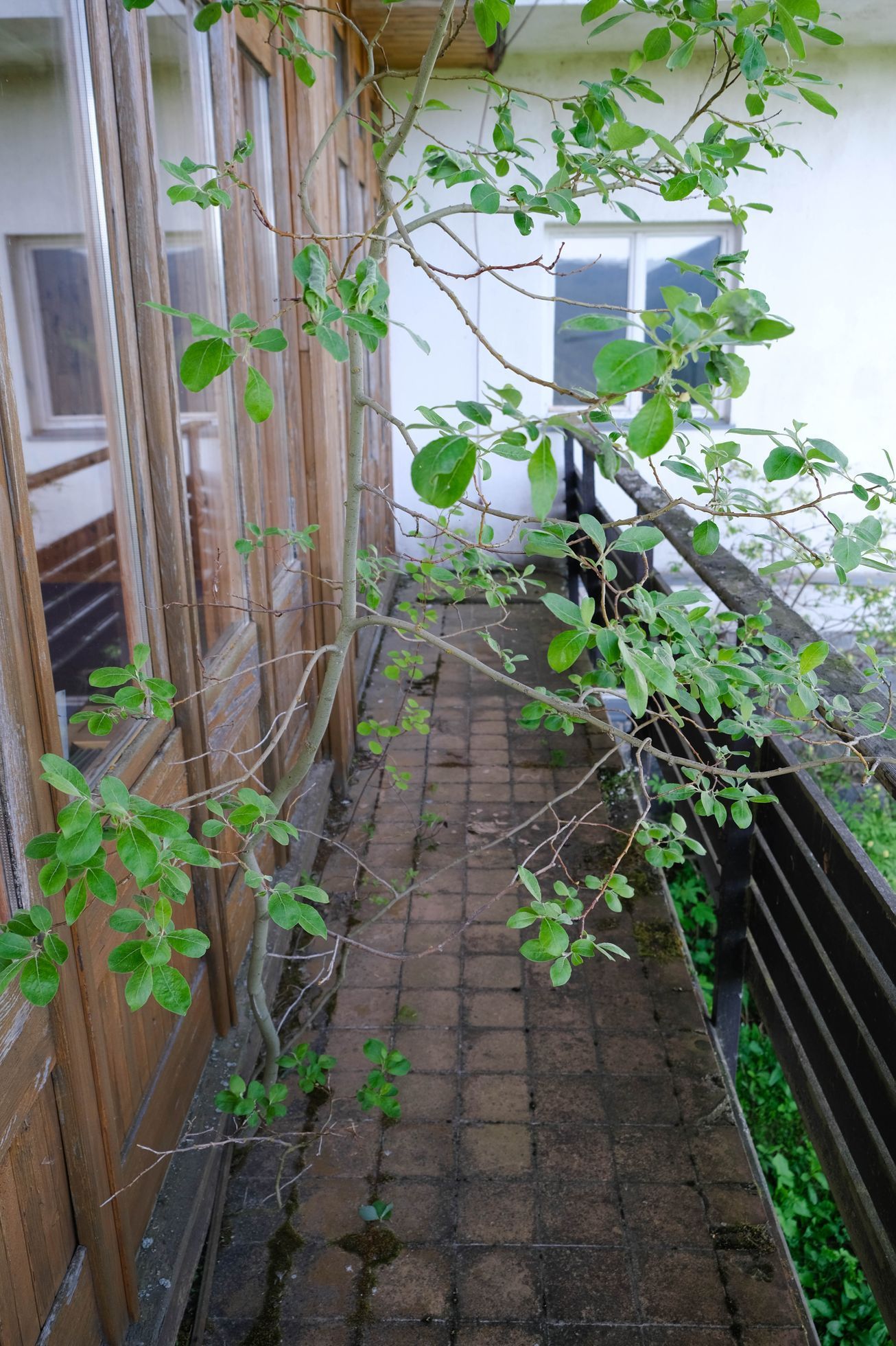 Rozhlasová chata - Pec pod Sněžkou