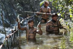 Násilí v Amazonii. Horníci nás vyhnali z vesnice a ubodali vůdce kmene, tvrdí indiáni