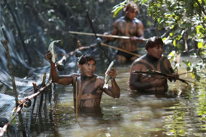 Yawalapiti tribe members catch fish in the Xingu National Park, Mato Grosso State, May 7, 2012. In August the Yawalapiti tribe will hold the Quarup, which is a ritual held over several days to honour in death a person of great importance to them. This year the Quarup will be honouring two people - a Yawalapiti Indian who they consider a great leader, and Darcy Ribeiro, a well-known author, anthropologist and politician known for focusing on the relationship between native peoples and education in Brazil. Picture taken May 7, 2012. REUTERS/Ueslei Marcelino (BRAZIL - Tags: ENVIRONMENT SOCIETY ANIMALS) ATTENTION EDITORS - PICTURE 17 OF 28 FOR PACKAGE 'LIFE WITH THE YAWALAPITI TRIBE' Published: Kvě. 15, 2012, 5:11 odp.