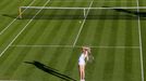 Lucie Šafářová v prvním kole  Wimbledonu 2015