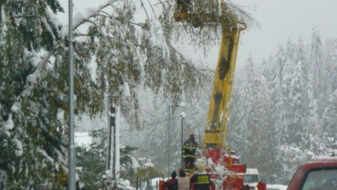 V Karolínce a okolí polámal těžký sníh stovky stromů - od staletých lip až po mladičké javory.